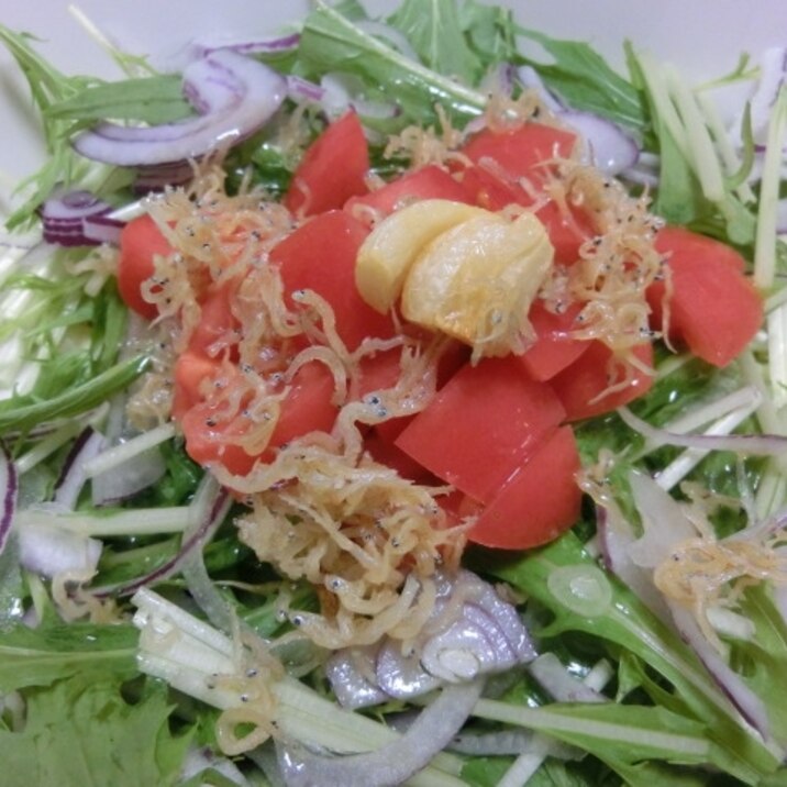 カリじゃこサラダ　（水菜 と トマト）